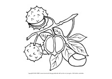 Ausmalbilder-Herbstfrüchte-A-1-10.pdf